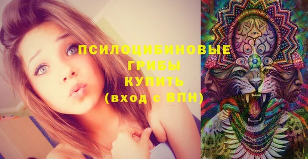 apvp Кодинск