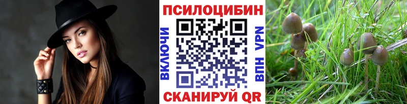 Псилоцибиновые грибы ЛСД  Городище 